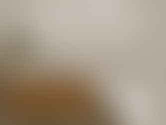 Top Bathroom Design Trends of 2026 — And Why TOTO Bidets Are Leading the Way