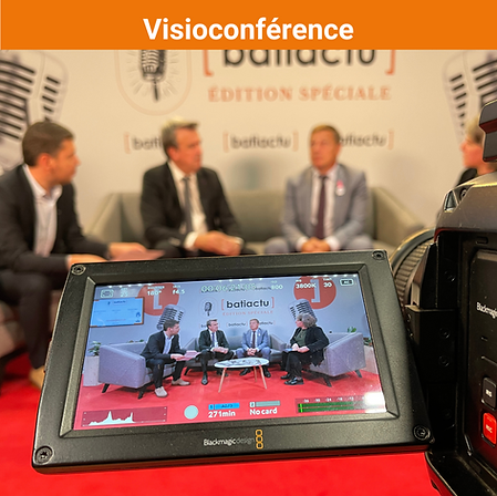 Visioconférence Batiactu en 2025.png