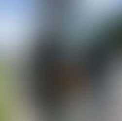 福井県敦賀市【西浦商会】様・日野SH1EDAG- E13C型水素ガスカーボンクリーニング施工実施