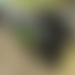 富山県射水市- カワサキ・ZX-14Rニンジャ-ZXT40AE型 水素ガスカーボンクリーニング施工実施