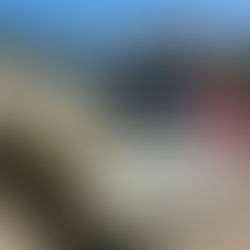 石川県羽咋市 『災害支援団体』合同チーム・TEAM JAPAN様-トヨタ アルファード・2AZ-FE型 水素ガスカーボンクリーニング施工実施