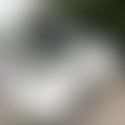 石川県-トヨタ プリウス・1NZ-FXE型 水素ガスカーボンクリーニング施工実施