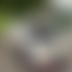 富山県-日産 フェアレディZニスモ・VQ37VHR型水素ガスカーボンクリーニング施工実施