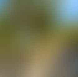 【583石川】さん主催、内灘放水路・海岸清掃活動に参加してきました-。