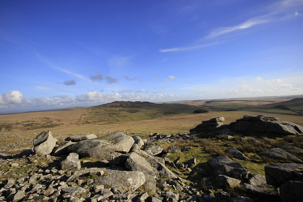 17 - View To Brown Willy.JPG