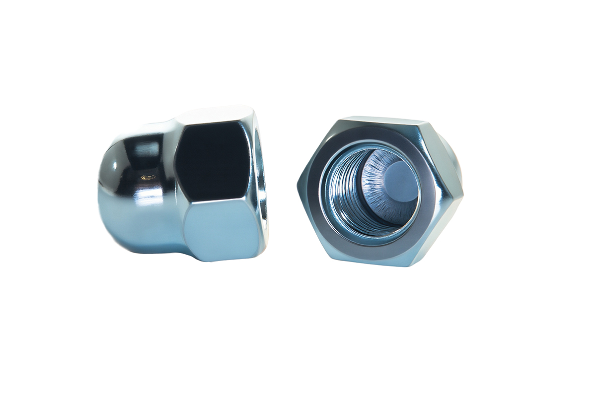 8.Hex Cap Dome Nuts.jpg