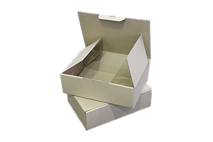 Express Packaging Cartons (4-Corner)
