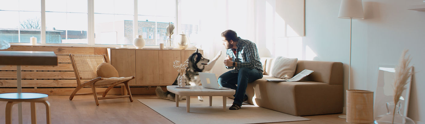 A man Sitting at his couch with a laptop at a coffee table and a husky dog trying to get his attention