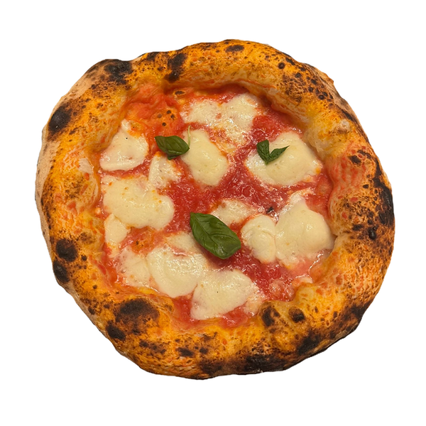 Untitled design (3)_edited.png