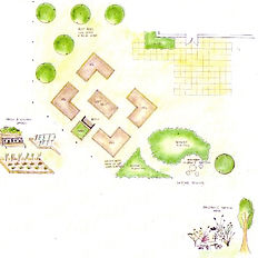 Site Survey Drawing Bees and Beans Landscape Gardening Brighton
