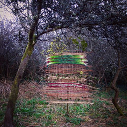 Garden Weavings