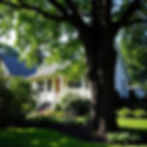 tress and a garden with home in the background in new jersey.jpg