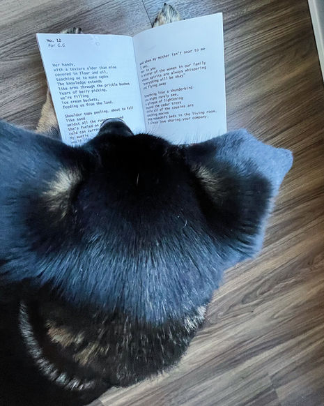 03 Poetry (1)