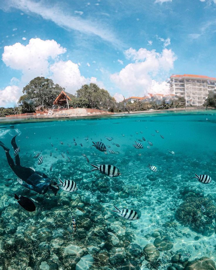 Underwater coral reef and marine life at Mactan, Cebu — a CILYC private sailing expedition dive destination