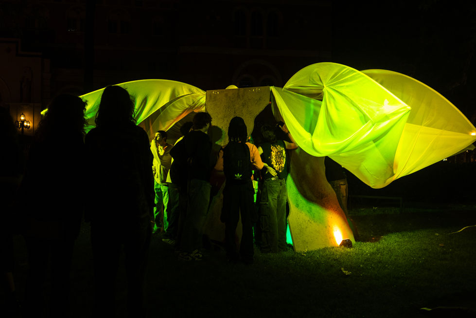 Mother Tree Installation