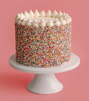 ConfettiCake_0fb78eec-5144-4519-95b0-6954034c7e23_720x.webp