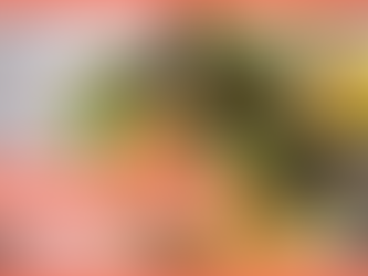 Warum ich als Vegetarierin nicht auf Eier verzichte