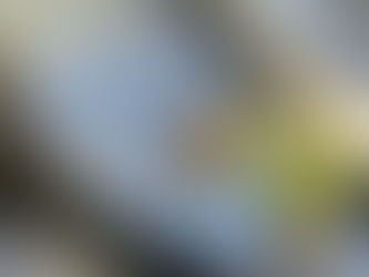 Ökosysteme durch Ernährung schützen? Wir klären auf