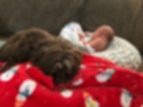 Bruno with baby Olivia.jpeg