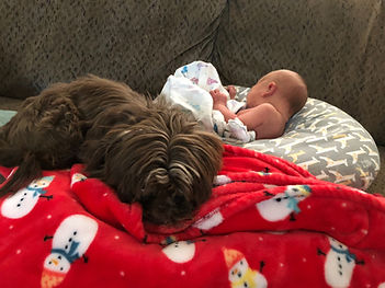 Bruno with baby Olivia.jpeg