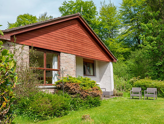 _DSC6366 (Large).jpg