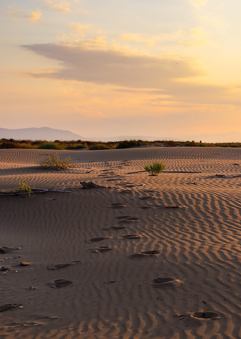 delta ebro (10).png