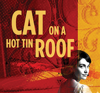 TC25-26-Cat-Tin-Roof-Tile.jpg