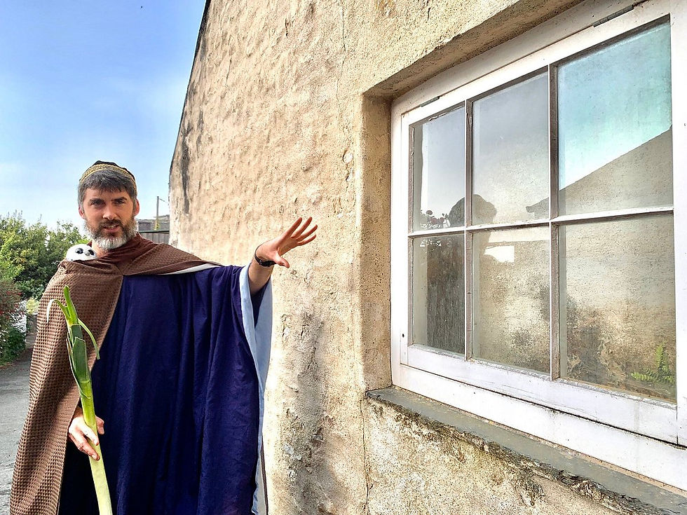 Llywelyn's window, St Davids
