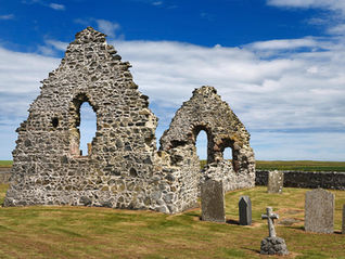 Pigeon Eggs in the Pembrokeshire National Park: A Public Service Announcement