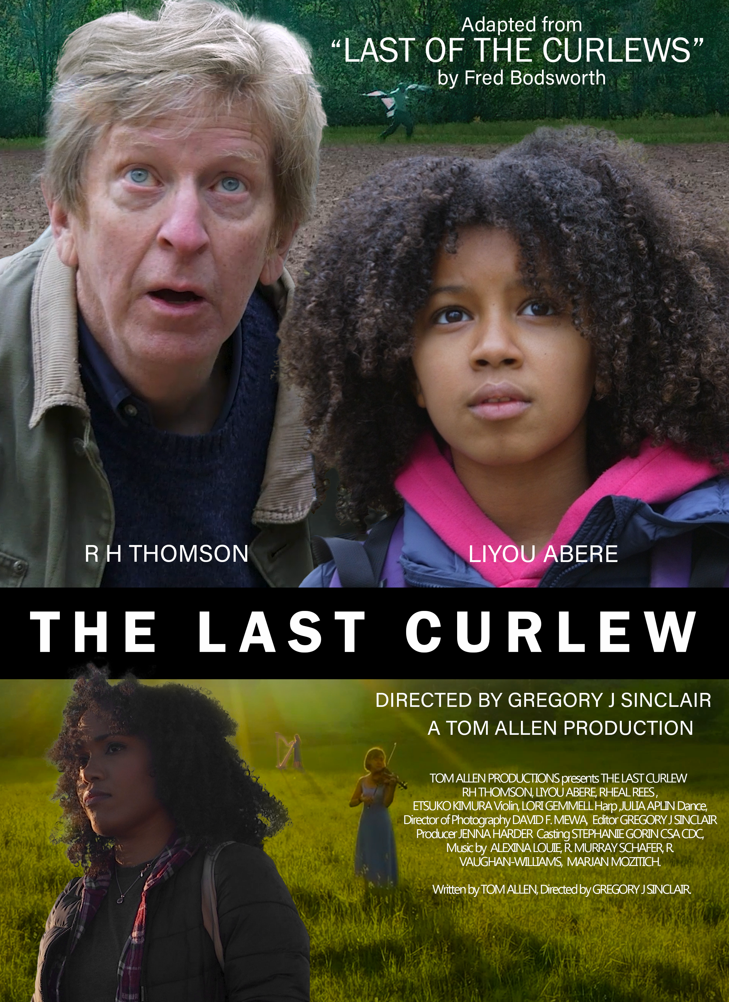 the last curlew