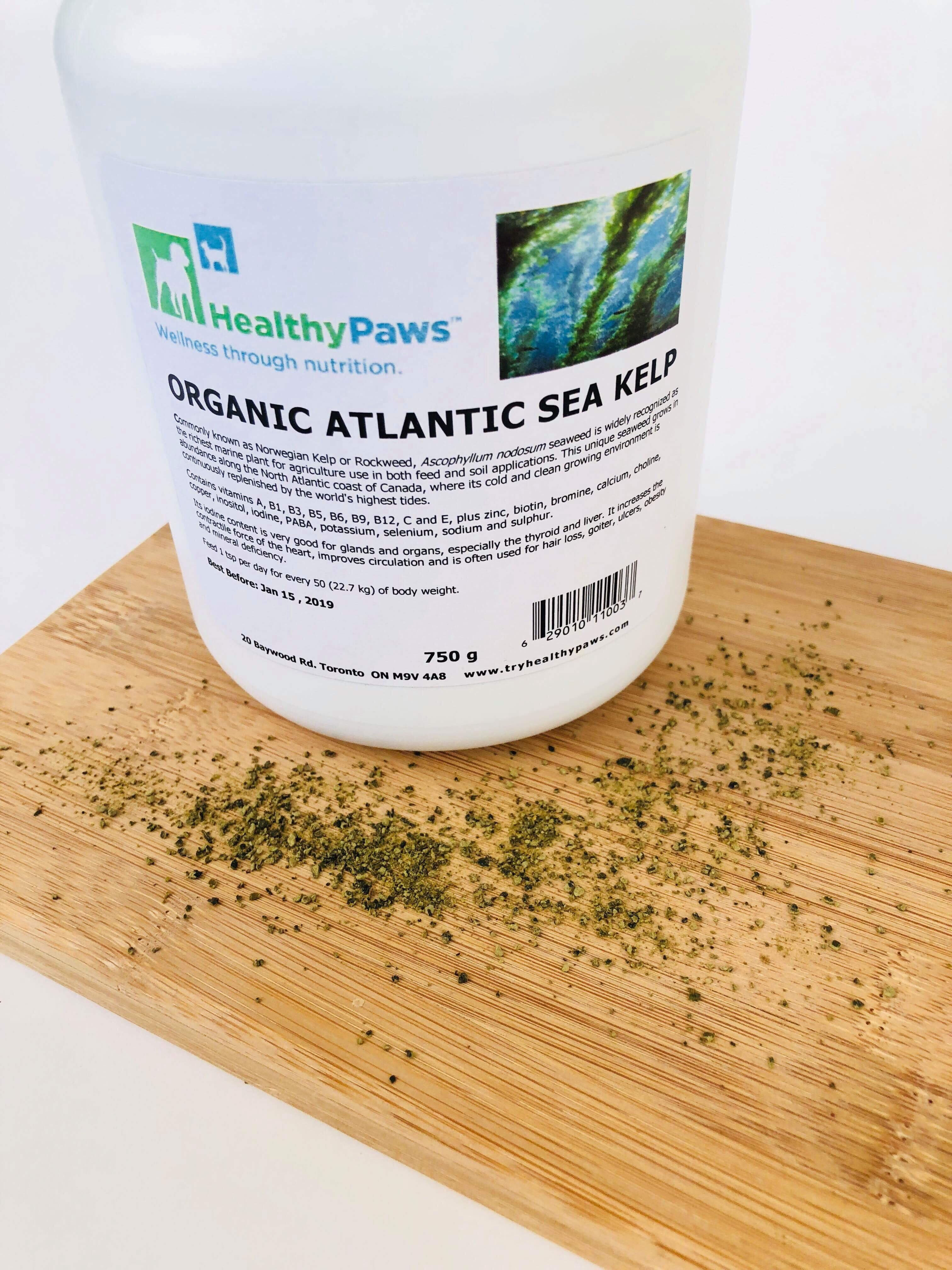 Organic Atlantic Sea Kelp