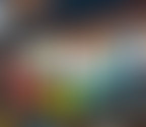 Following the Chakra Trail!