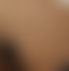 a donkey in the sahara desert