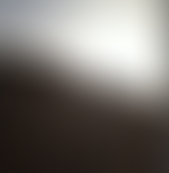 the sun setting in the desert