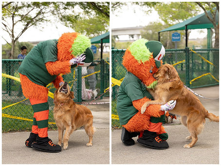 Puptober Fest at K-9 Cove, Miami Lakes | Event Photographer
