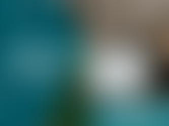 La loi de l’attraction : peut-on vraiment désirer et obtenir tout ce que l’on souhaite?Caroline Bergeron - Conférencière