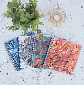Aro Artist Painter Notebook