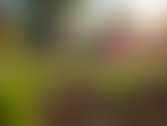 Nature-Based Development in Education: A Sustainable Approach