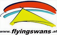 flyingswans_edited.jpg