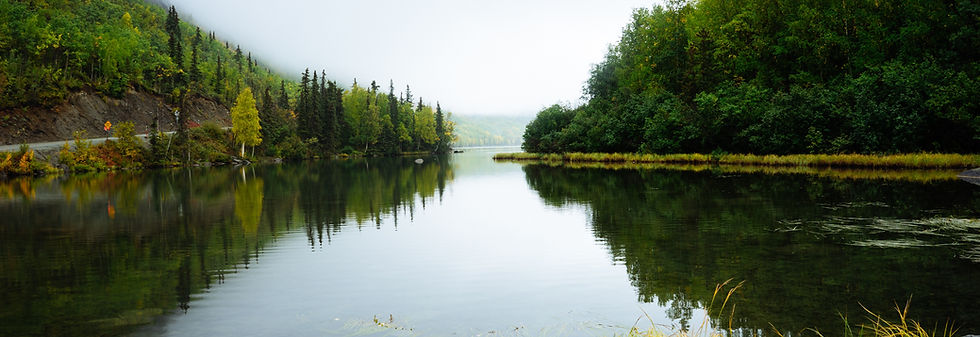 Still lake reflecting mist-wrapped forest and trees