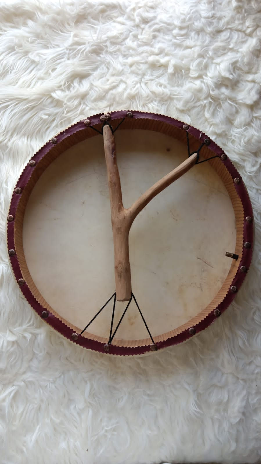 Thumbnail: 15" ♤ Ivory Moon Shamanic Drum (Local II) 