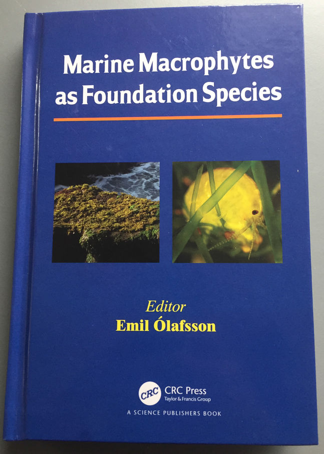 New Book Chapter!