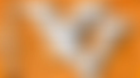 VOLUNTEER VOLUMES: Vol. 1, Ch. 4. Josh Sawyer