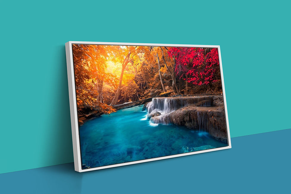 Thumbnail: Beautiful Nature Floating Frame