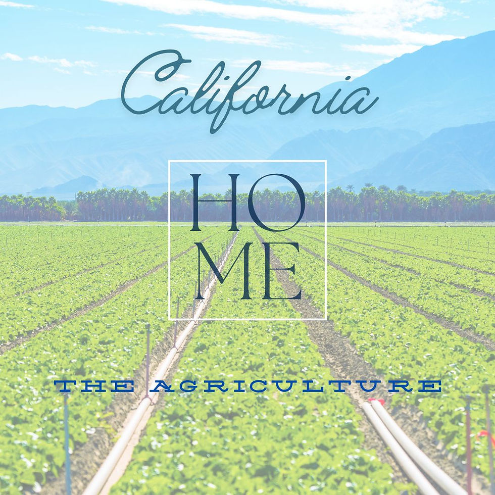 Why I Love Living in California: Agriculture