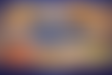 Les 7 meilleures espèces de reptiles pour les débutants