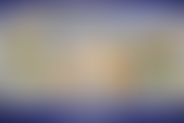 Bricolage facile pour chien et chat 