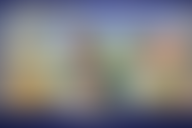 10 raisons pour lesquelles un perroquet s’arrache les plumes