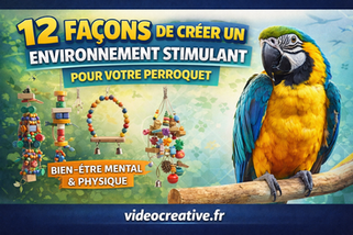 12 façons de créer un environnement stimulant pour votre perroquet