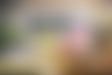 Les adjectifs possessifs